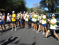 copasiembra18mar2013web